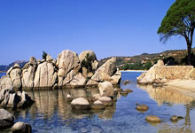 女排主帅即将出炉!赵勇领先匡琦滤镜被打破,或有国产黑马涌现.